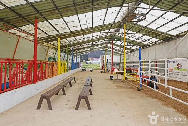 진주목장 낙농체험 사진