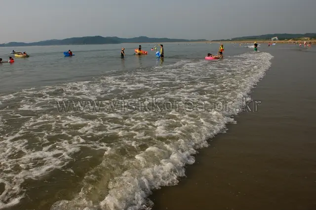 신두리해수욕장 사진