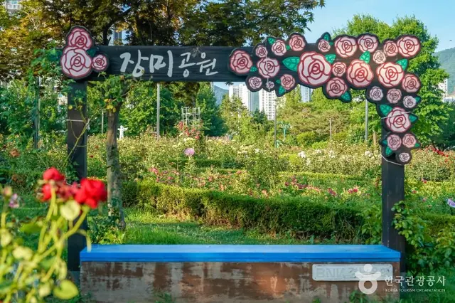장미공원 사진