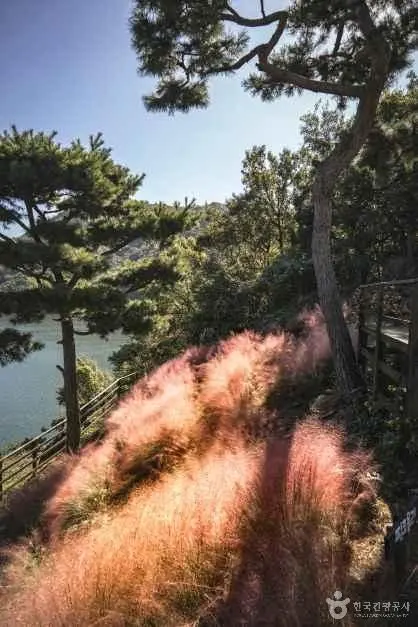 수생식물학습원 사진