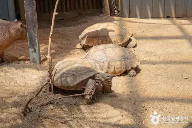 네이처파크 사진
