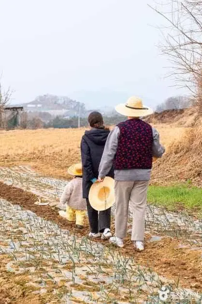 로렌츠감성치유시골체험 사진