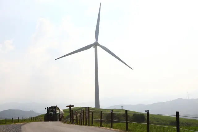 대관령 하늘목장 사진