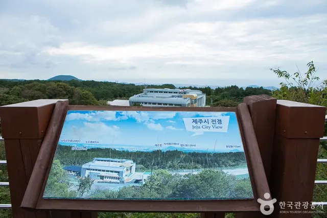 한라생태숲 유아숲체험원 사진
