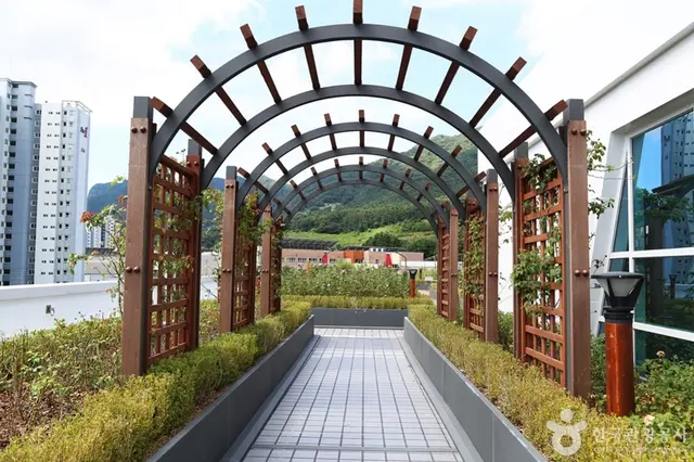 정관아쿠아드림파크 사진
