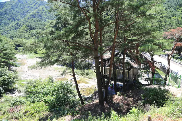 오색솔밭야영장 사진