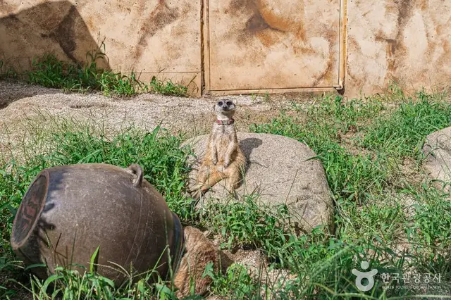 전주동물원 사진