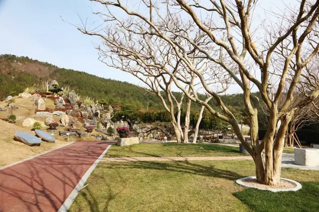 1004섬 분재공원 사진