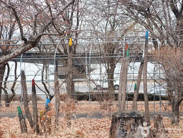 청담도로공원 사진