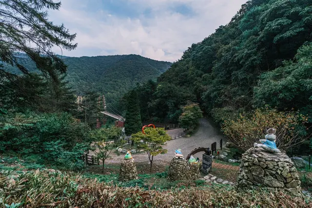좌구산 자연휴양림 사진