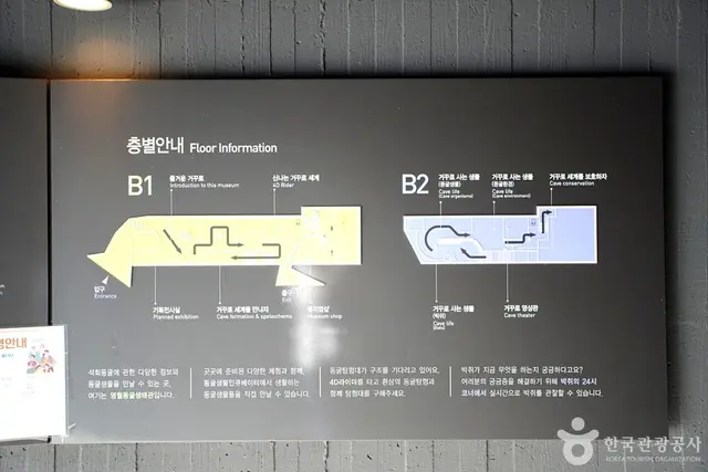 영월동굴생태관 사진