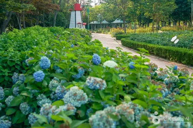 장미공원 사진
