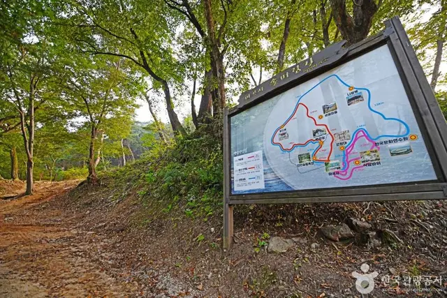 마곡사 천연송림욕장 사진