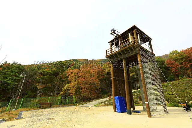 철원군 병영체험수련원 사진