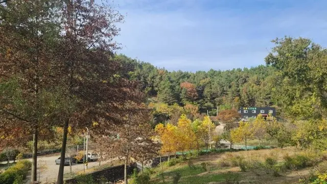 공룡자연농원 사진