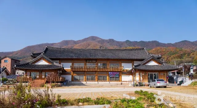 이천 산수유마을 사진