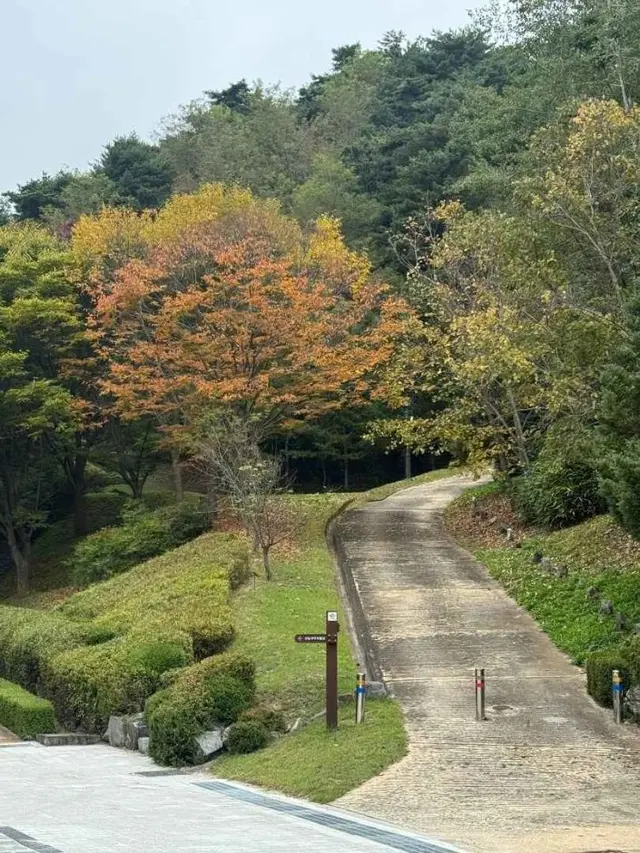 경상북도산림과학박물관 사진