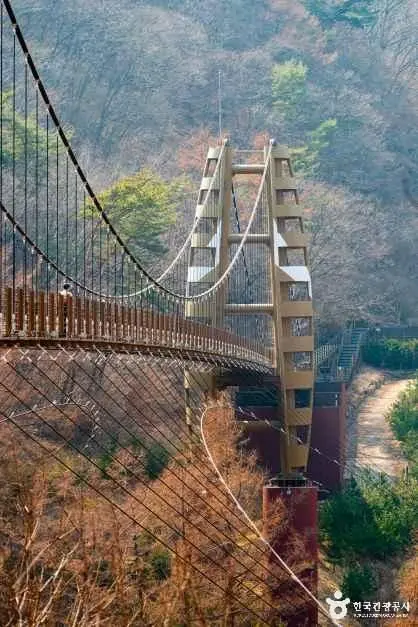 좌구산 자연휴양림 사진
