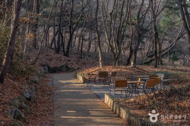 대모산도시자연공원 사진