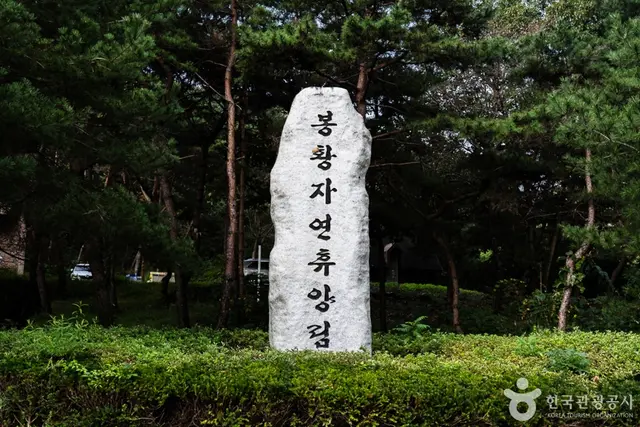 봉황자연휴양림 사진