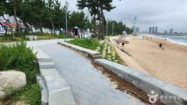 속초해수욕장 사진