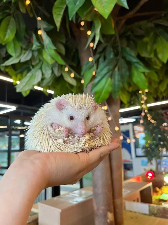 마리앤쥬 사진