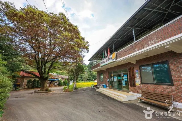 여주 팜스테이마을 사진