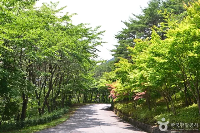 백아산자연휴양림 사진