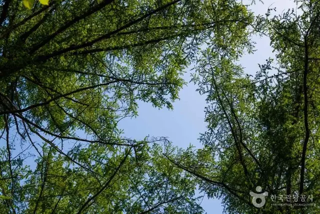 국립횡성숲체원 사진