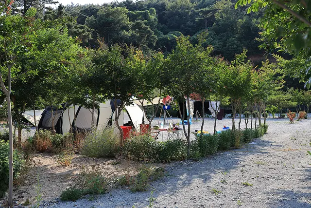 팔봉갯벌체험야영장 사진