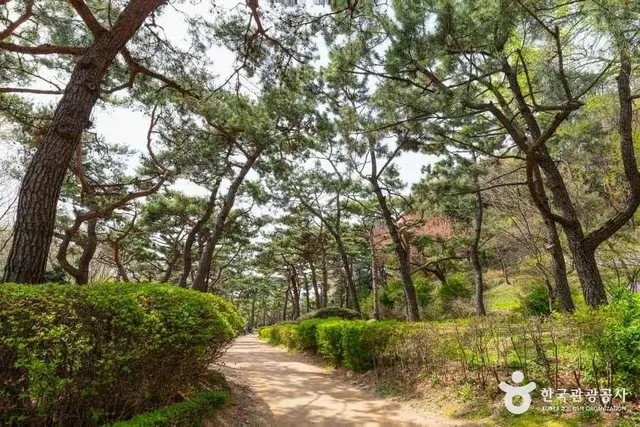 남산야외식물원 사진