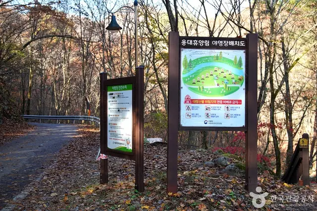 국립 용대자연휴양림 사진