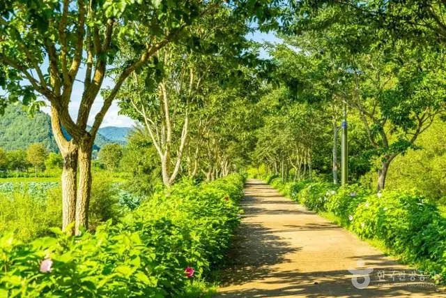 용담호자연생태습지공원 사진