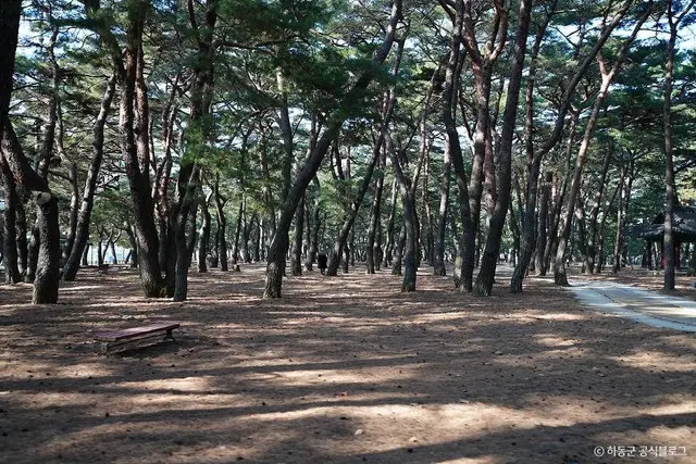 하동송림공원 사진