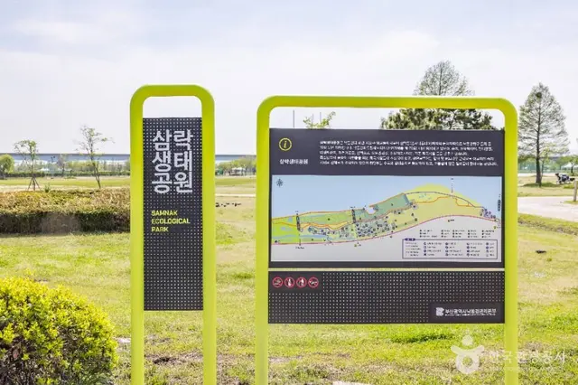 삼락생태공원 사진