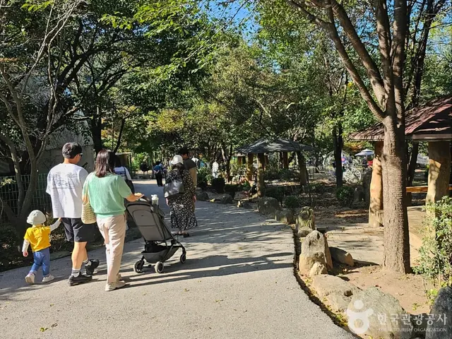 아침고요가족동물원 사진