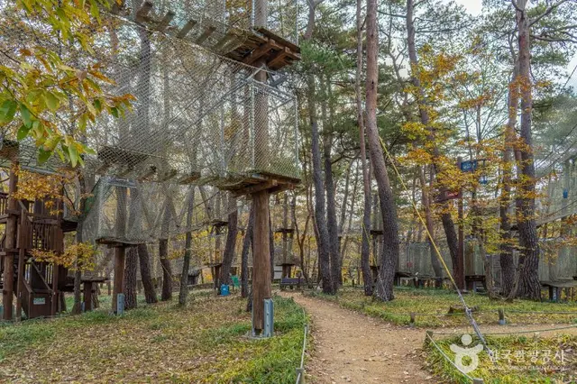 산성계곡생태공원어드벤처 사진
