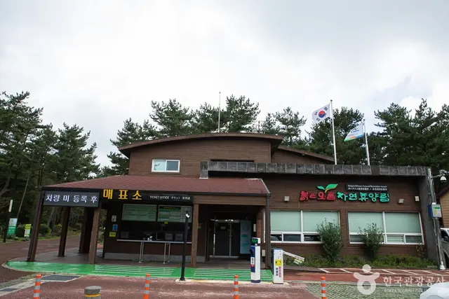 붉은오름자연휴양림 사진