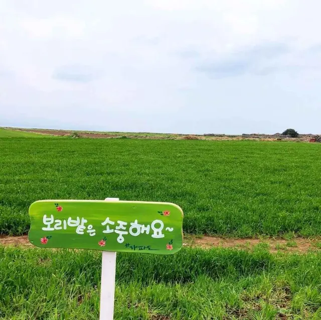 가파도 소망전망대 사진