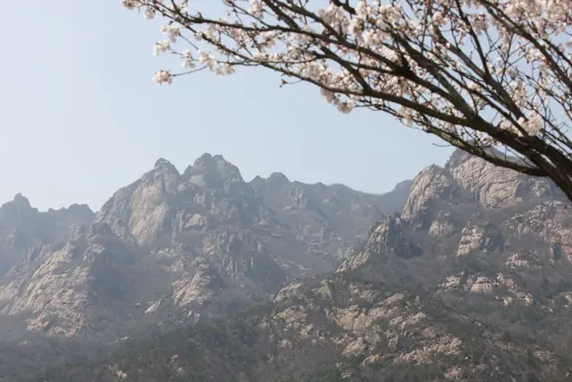 월출산국립공원 사진