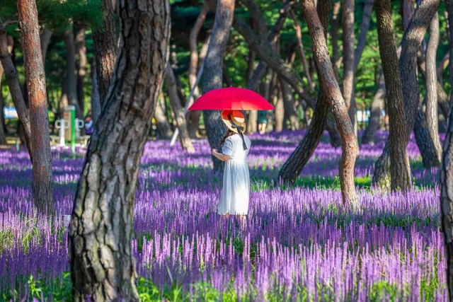 황성공원 사진