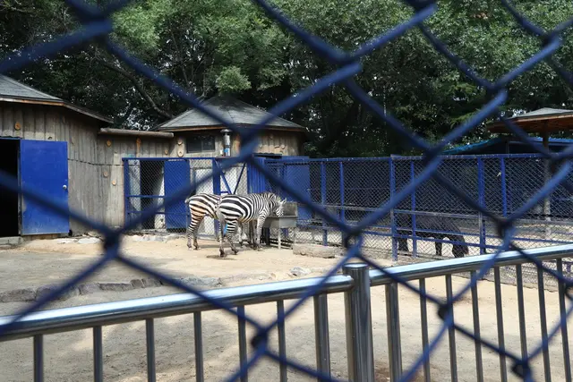 달성공원 사진