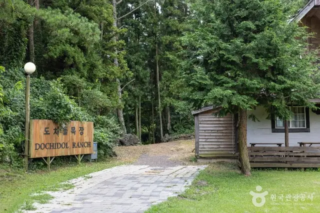 도치돌알파카목장 사진