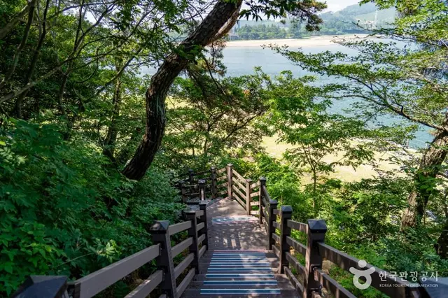 배알도 섬 정원 사진