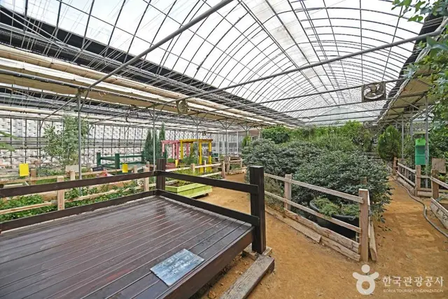 원평허브농원 사진