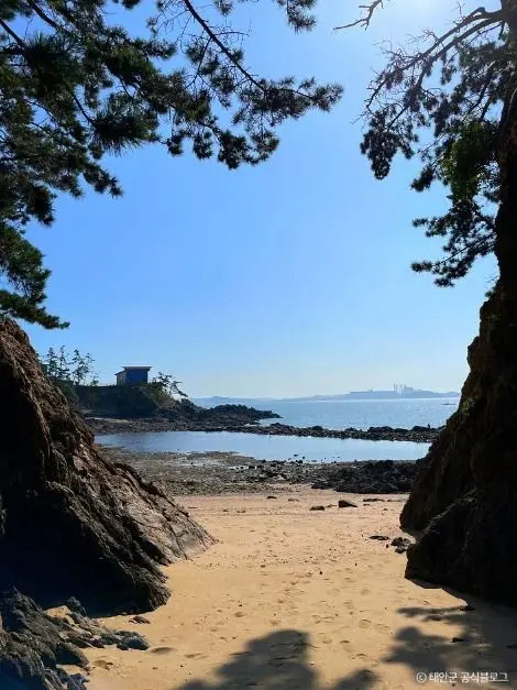 꾸지나무골해수욕장 사진
