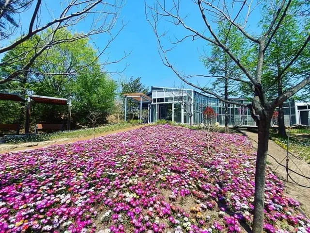 설악산 자생식물원 사진