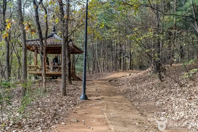 판교공원 사진