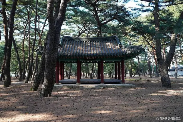 하동송림공원 사진
