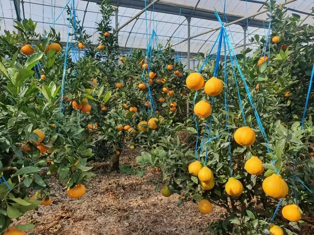 해품은체험농장 사진